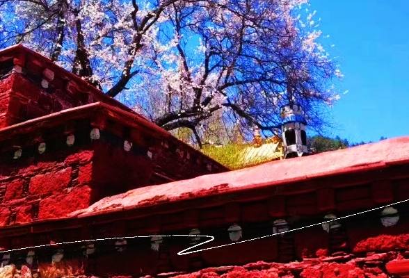 【印象西藏】【2025林芝桃花節(jié)】西藏拉薩林芝桃花節(jié)雙臥11日，單臥單飛9天，精品西藏桃花季雙臥11日